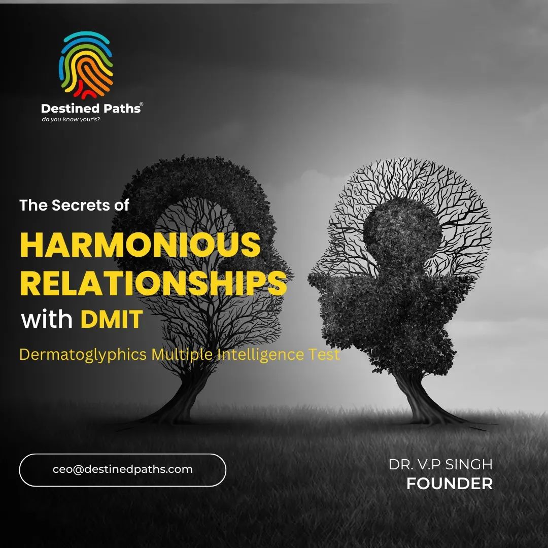Your Talent Search with Dmit: Take the Dmit Test for Optimal Hiring Results!